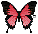 Butterfly - Red